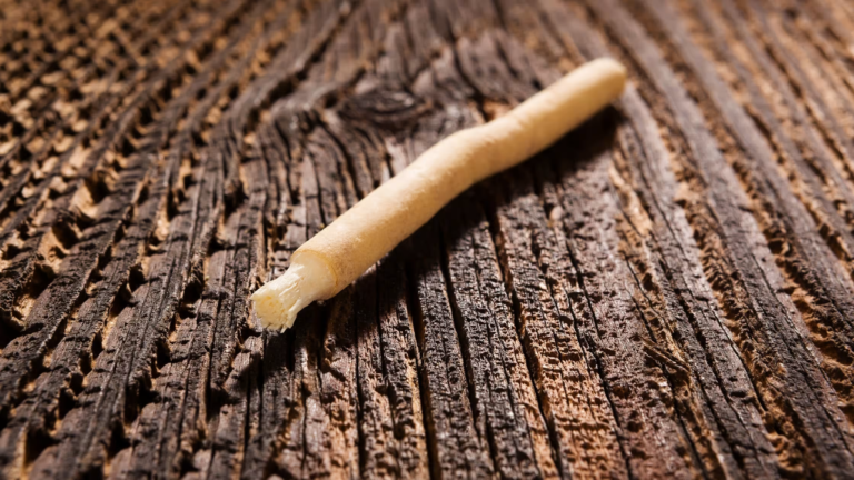 Bâton de Siwak